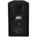 Peavey PV112 Passive PA Loudspeaker