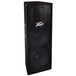Peavey PV215 Passive PA Loudspeaker