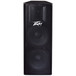 Peavey PV215 Passive PA Loudspeaker