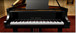 Steinberg The Grand 3 EE Virtual Grand Piano, Education Edition Piano 1