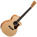 Martin GPCPA5K Acoustic Guitar