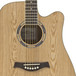 SCBUSK-100NT