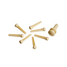 D'Addario Injected Molded Bridge Pins with End Pin, Ivory