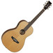 Tanglewood TP CSN E