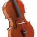 Archer Cello 2