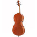 Archer Cello 4