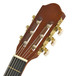 JCG01N
