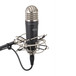 Samson MTR101a