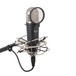 Samson MTR101a