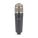 Samson MTR101a