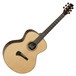 Tanglewood Master Design TSR-2 Acoustic Guitar by Michael Sanden 