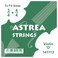 Skrzypce Astrea D String, 3/4 - 4/4
