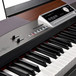 SP5100 Digital Piano by Gear4music - cu