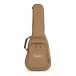 Taylor Big Baby Acoustic, Natural