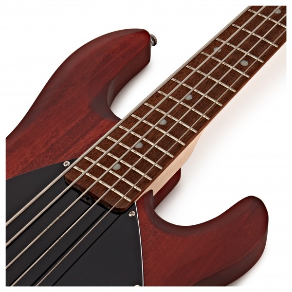 Sterling SUB Ray5 Bass JTB, Walnut Satin