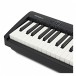 Roland FP 10 Digital Piano with Deluxe Bag