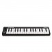 Alesis QMINI MIDI Keyboard