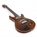 PRS Paul's Guitar Yellow Tiger, #0327223