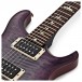 PRS Ltd Edition CE24, Custom Colour #0319463