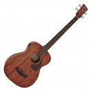 Ibanez PCBE12MH Acoustic Bass, Open Pore Natural