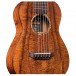 Cordoba Mini KOA Limited Edition Acoustic, Natural Satin left