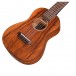 Cordoba Mini KOA Limited Edition Acoustic, Natural Satin body