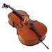 Eastman Young Master Cello Outfit, Jargar String Setup