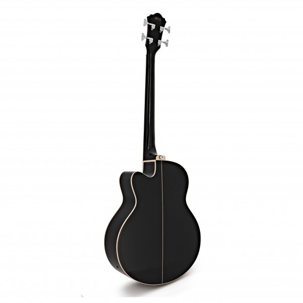 Ibanez AEB8E, Black