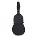 Stentor Arcadia Double Bass with Case Cover, 3/4
