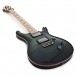 PRS Custom 24 Wood Library, 10 Top Trampas Green Smokeburst #0315246