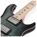 PRS Custom 24 Wood Library, 10 Top Trampas Green Smokeburst #0315246