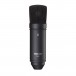 Tascam TM-80B Condenser Microphone, Black