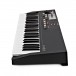 Waldorf Blofeld 49 Note Keyboard Synthesizer, Black