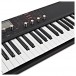  Waldorf Blofeld 49 Note Keyboard Synthesizer, Black