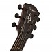 Taylor 314ce Limited Edition Grand Auditorium, Quilt Sapele