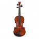 Bridge Tasman Electro-Acoustic Violin, 5 String