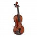 Bridge Tasman Electro-Acoustic Violin, 5 String