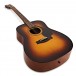 Yamaha F310 Acoustic Guitar Package, Tobacco Brown Sunburst