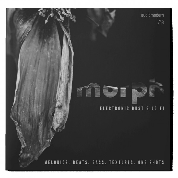 Audiomodern Morph, Digital Delivery - Main