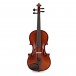 Primavera Loreato Violin Outfit, Full Size, Gold Level Set up