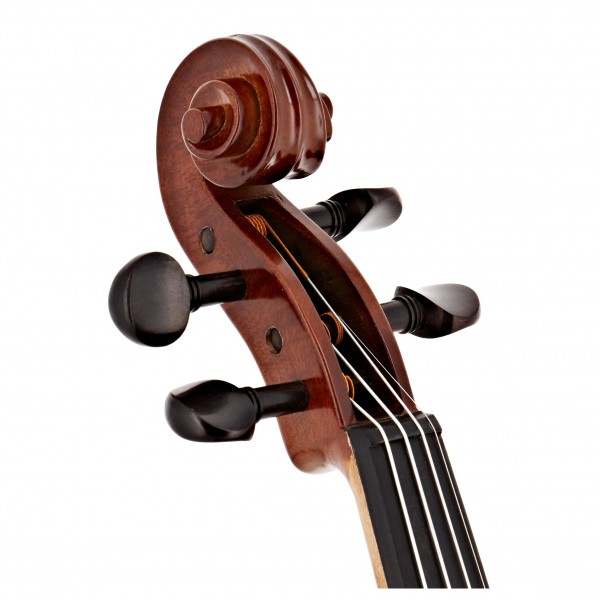 Primavera Loreato Violin Outfit, Full Size, Gold Level Set up