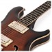 PRS SE Hollowbody II Piezo, Black Gold