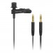 Behringer BC LAV Lavalier Microphone for Mobile Devices - bare