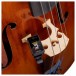 D'Addario Eclipse Cello/Bass Tuner - Mounted