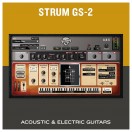 AAS Strum GS-2