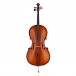 Primavera 200 Cello Outfit, Full Size, Gold Level Set up