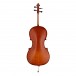 Primavera 200 Cello Outfit, Full Size, Gold Level Set up