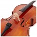 Primavera 200 Cello Outfit, Full Size, Gold Level Set up