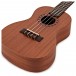 Cordoba Concert Ukulele Player Pack