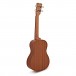 Cordoba Concert Ukulele Player Pack